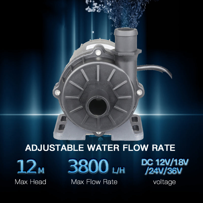 ICEGALAX WP-DC60A/G Mini Submersible Water Pump DC 12/24 V mini dc motor water pump 950 for Cold Plunge 1/2HP 1HP chiller bathtub conversion